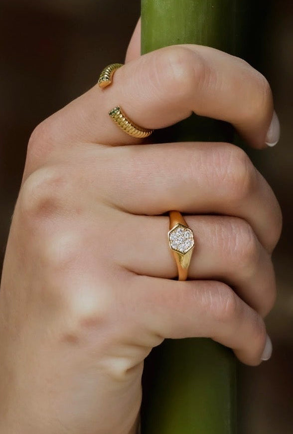 Engagements